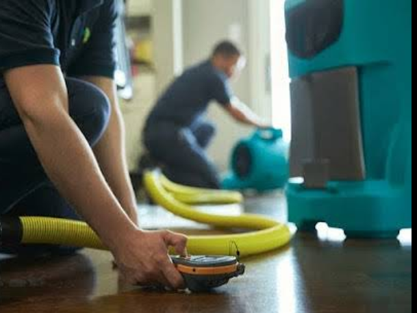 Water damage restoration technicians using professional extraction equipment
